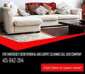 Carpet Stain Removal - Carpet Cleaning Corte Madera, CA
