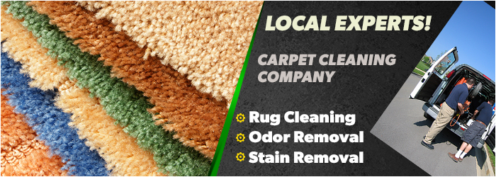 Carpet Cleaning Services